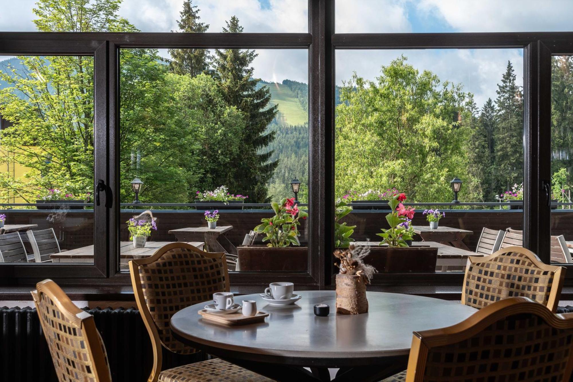 Wellness Hotel Sedy Vlk 哈拉霍夫 外观 照片